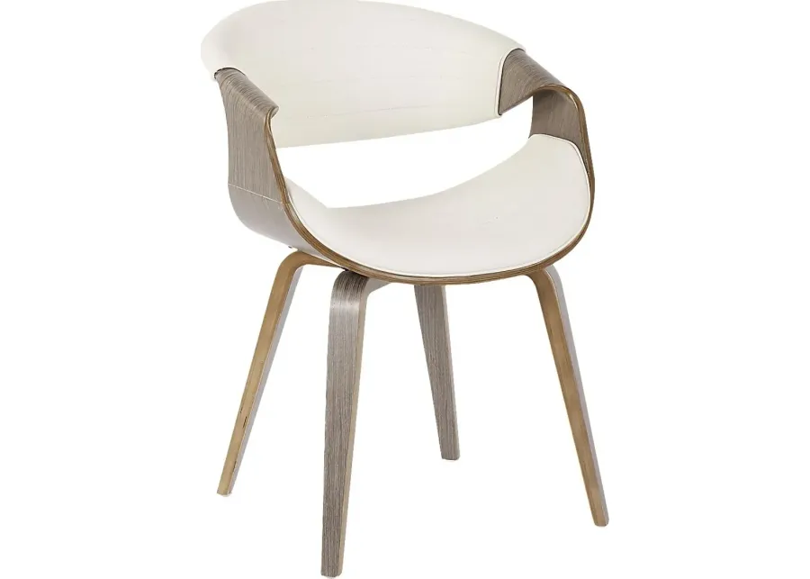 Jakefield Gray Dining Chair-Gray