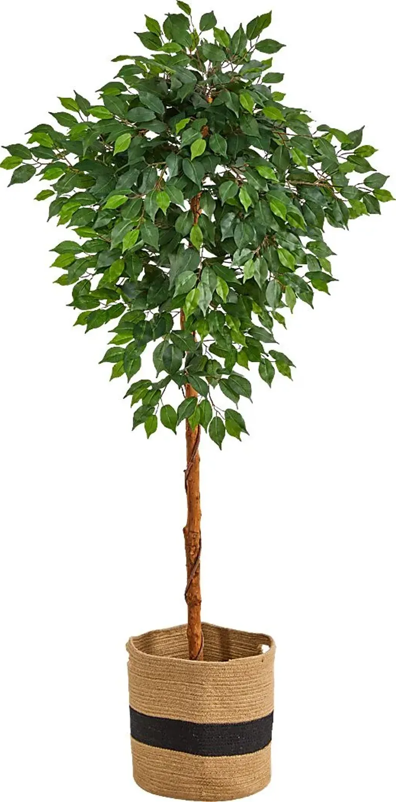 45764-cipriano-green-tree-with-basket-green-1.webp