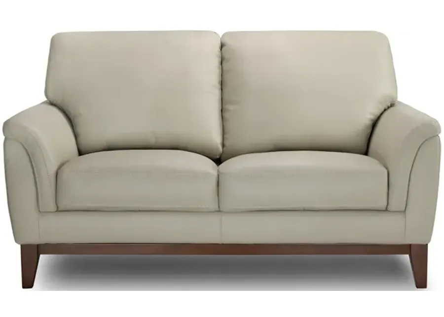 Haines Leather Loveseat
