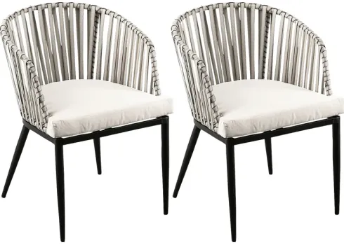 46475-eavie-natural-outdoor-accent-chair-set-of-2-natural-1.webp