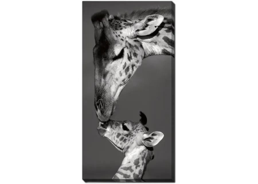 4741-giraffes-canvas-art-1.webp