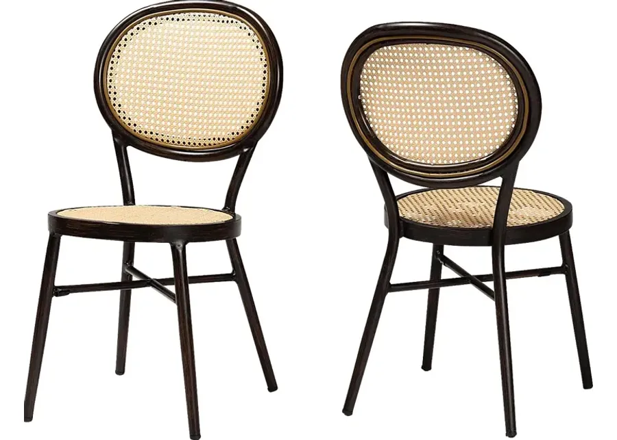 Outdoor Ivanel Brown Side Chair, Set of 2-Brown