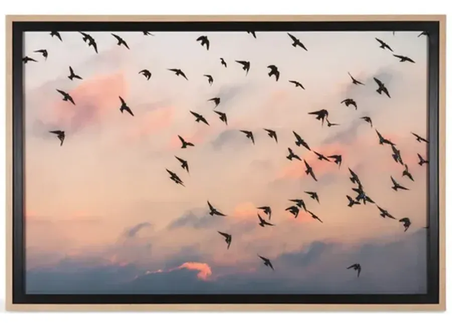 Evening Flight Framed Art