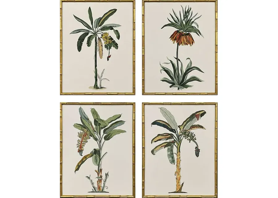 Arlox Green Artwork, Set of 4-Green
