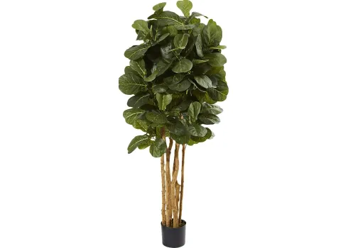 49619-kaiyah-green-fiddle-leaf-silk-tree-green-1.webp