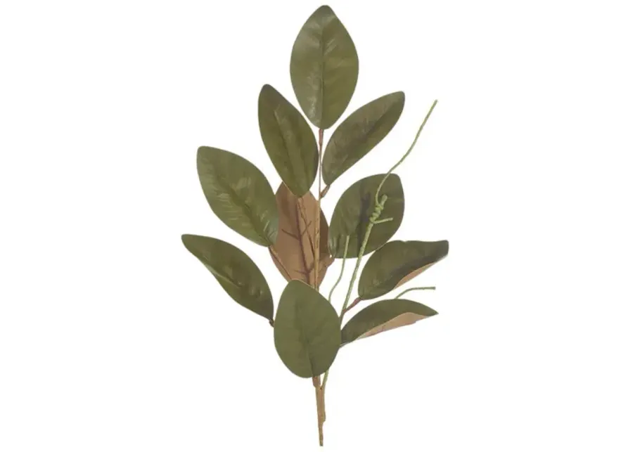 5010-magnolia-spray-1.webp