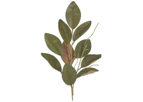5010-magnolia-spray-1.webp