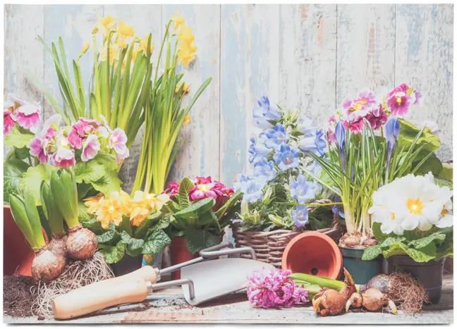 5017-spring-flowers-canvas-art–1.webp