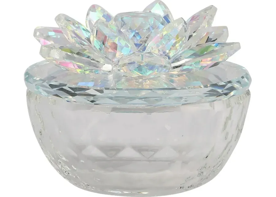 Vanndivers Clear Decorative Box-4 1 50279-vanndivers-clear-decorative-box-4-1.webp