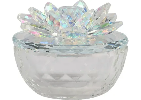 50279-vanndivers-clear-decorative-box-4-1.webp