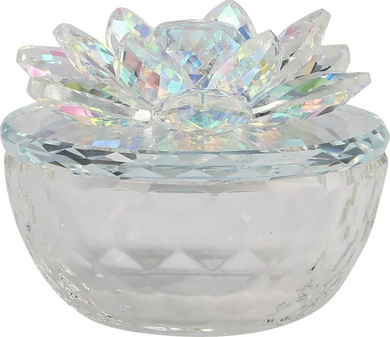 50279-vanndivers-clear-decorative-box-4-1.webp