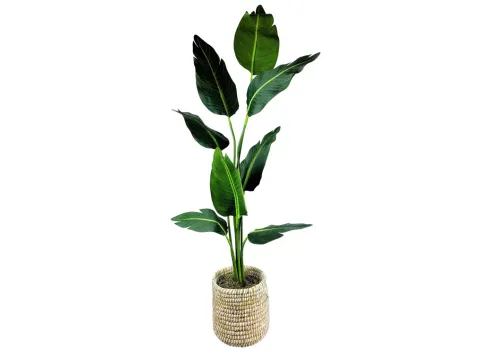 51570-lcg-sales-travelers-palm-5-foot-basket-22-1.webp