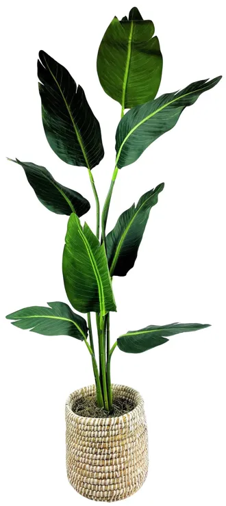 51570-lcg-sales-travelers-palm-5-foot-basket-22-1.webp