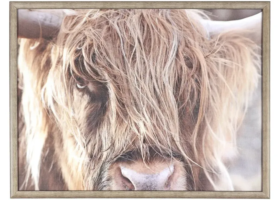 Northwood Collection Angry Bull Wall Art-34