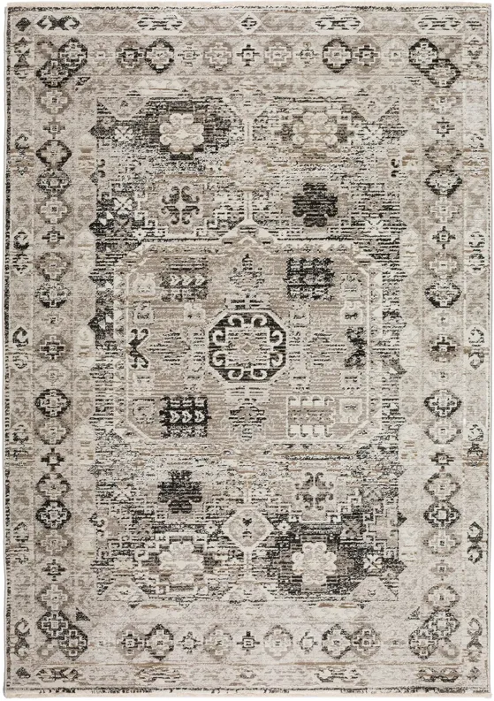 51830-dalyn-rug-company-izmir-iz4-rug-39-1.webp