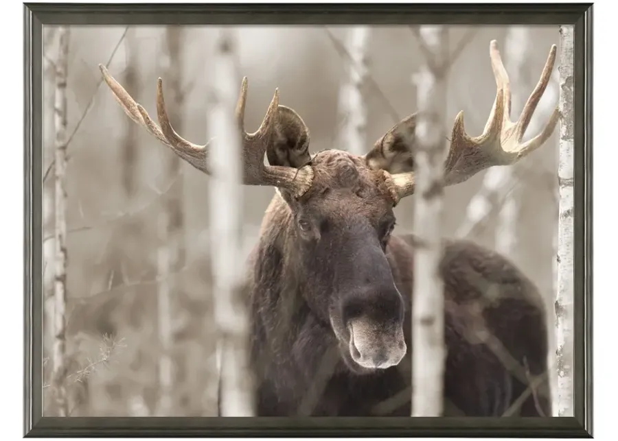 53087-northwood-collection-moose-ii-wall-art-34-1.webp