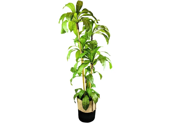 53535-lcg-sales-birdsnest-7-foot-30-1.webp