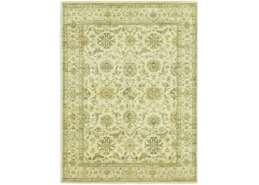 Hand Knotted Area Rug