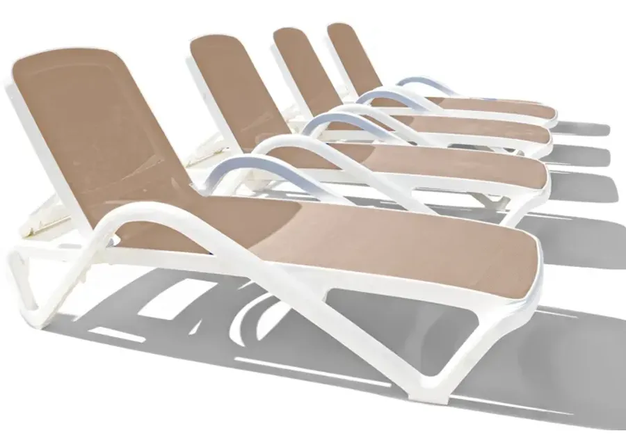 Poolside 4 Chaise Loungers - Grey 1 5406-poolside-4-chaise-loungers-grey-1.webp