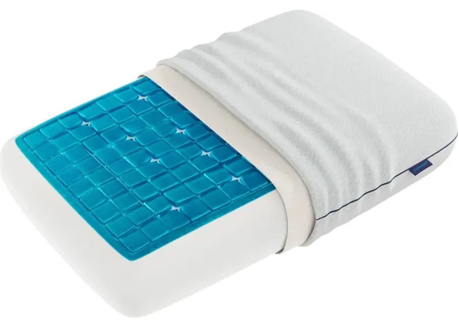 Technogel Deluxe Thick Pillow-26 1 55493-technogel-deluxe-thick-pillow-26-1.webp