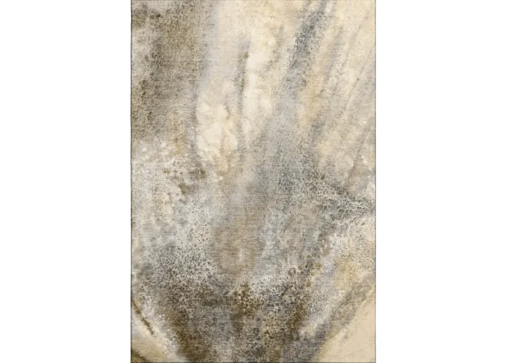 55523-dalyn-rug-company-odyssey-5-rug-96-1.webp