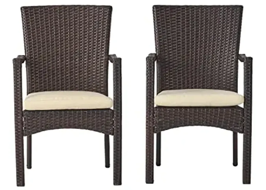 Christopher Knight Home Corsica Outdoor Wicker Dining Chairs, 2-Pcs Set, Multibrown-Multibrown