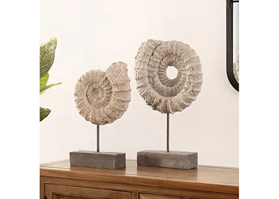 SAFAVIEH Home Collection Toren Nautical Ammonite Shell Table Decor (Set of 2) RDC1208A-SET2, Black/White-Black, White
