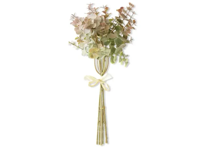 588-eucalyptus-stem-1.webp