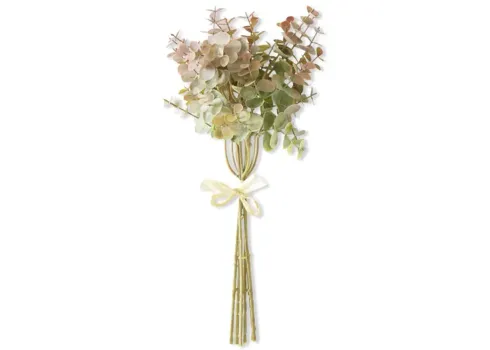 588-eucalyptus-stem-1.webp