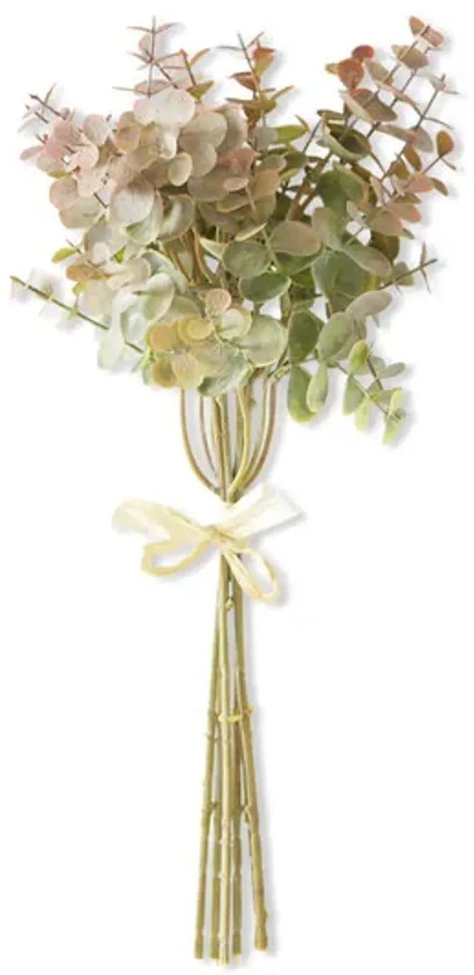 588-eucalyptus-stem-1.webp