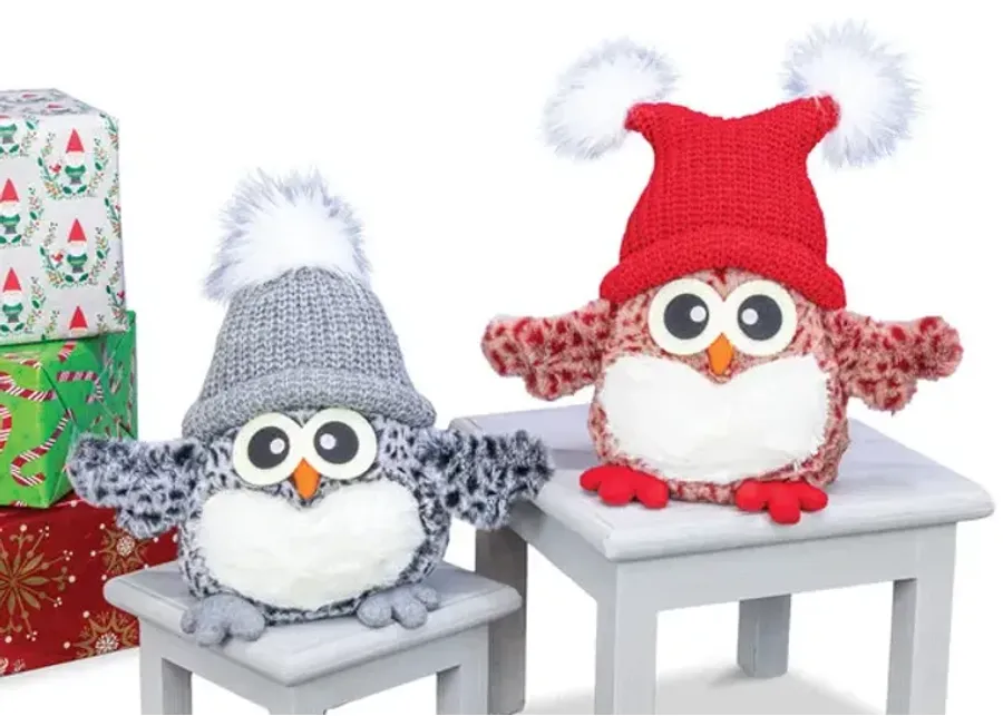 Owl with Winter Hat