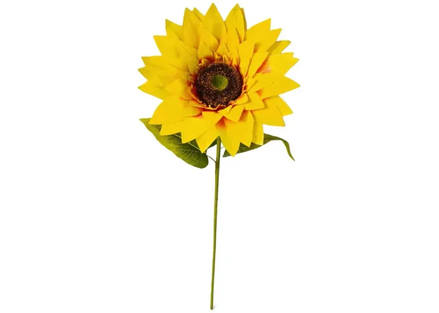 Sunflower Stem