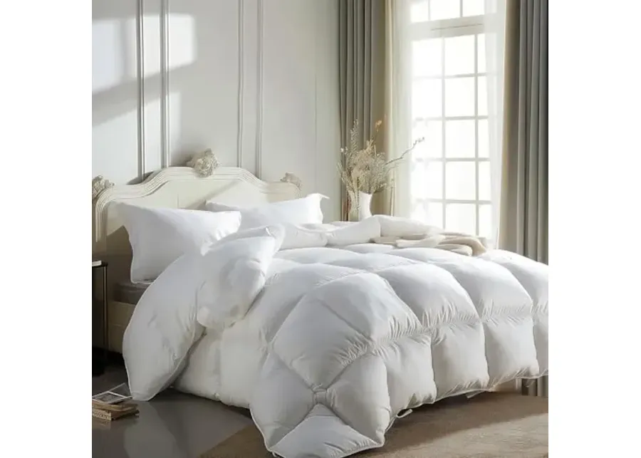 Luxurious Queen Full Size Goose Feather Down Fiber Comforter Duvet Insert,Fluffy Ultra-Soft 100% Cotton, Lightweight Hotel Collection Comforter, Light Warmth 90 x 90 Inch White Solid