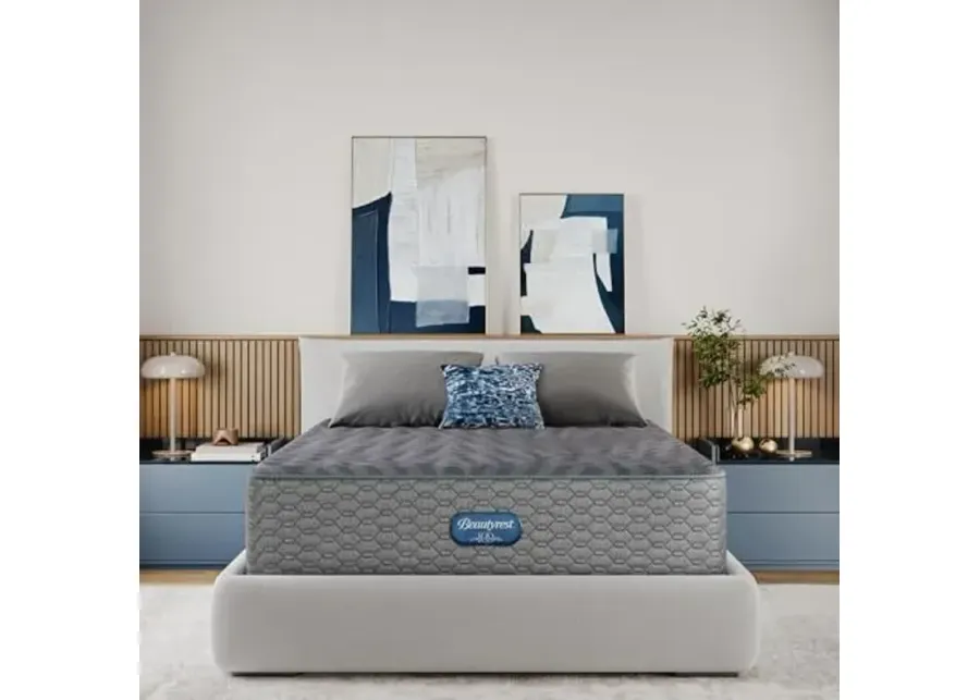 Beautyrest Days End Medium 14" Mattress - Twin - Cooling Tech, Supportive Durable Pocketed Coils, Pressure Relief, Motion Separation; 100 Night Sleep Trial and 10 Year Warranty-Grey
