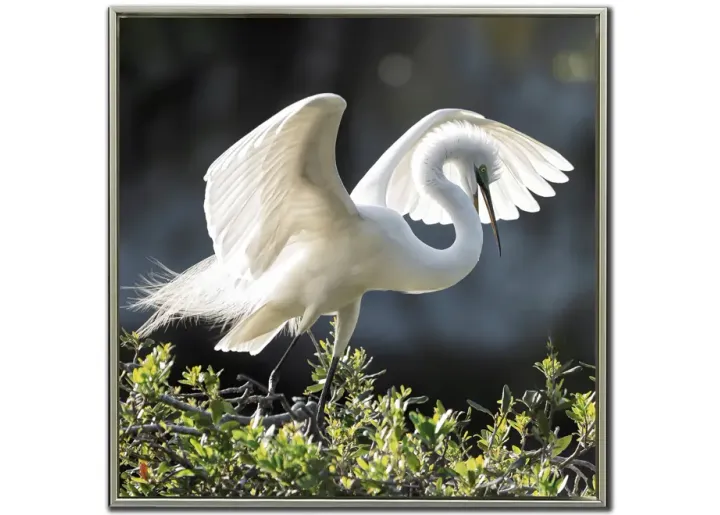 6462-backlit-grace-framed-canvas-art-1.webp