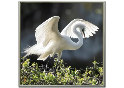 6462-backlit-grace-framed-canvas-art-1.webp