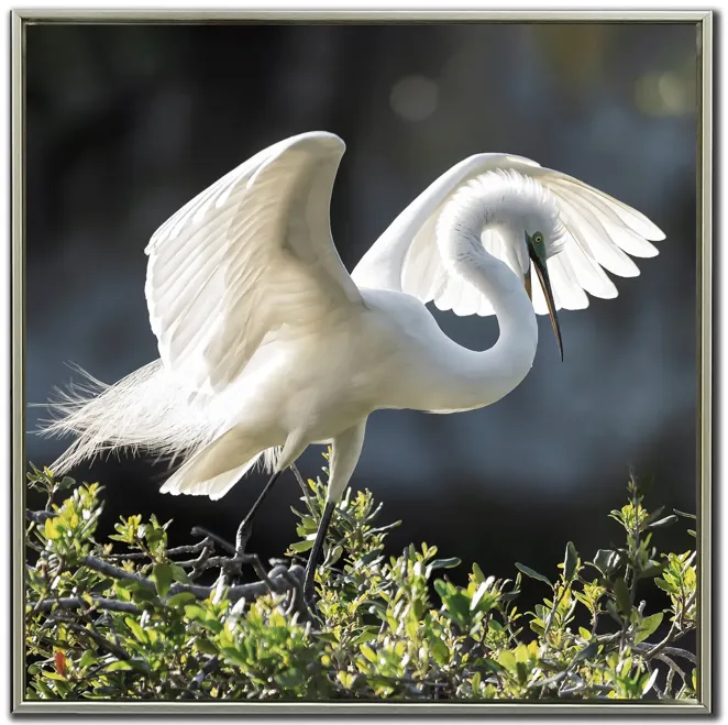 6462-backlit-grace-framed-canvas-art-1.webp