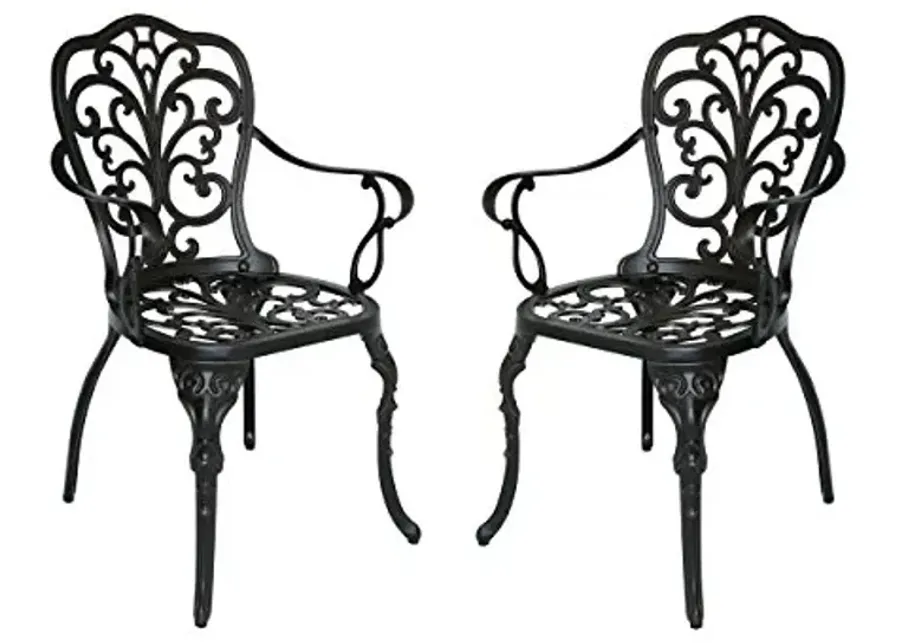 Christopher Knight Home Buddy Outdoor Cast Aluminum Dining Chair (Set of 2), Shiny Copper-Shiny Copper