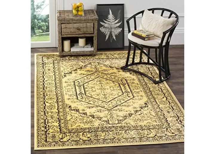 67625-safavieh-adirondack-collection-area-rug-5-1-x-7-6-gold-black-1.webp