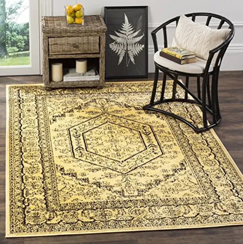 67625-safavieh-adirondack-collection-area-rug-5-1-x-7-6-gold-black-1.webp