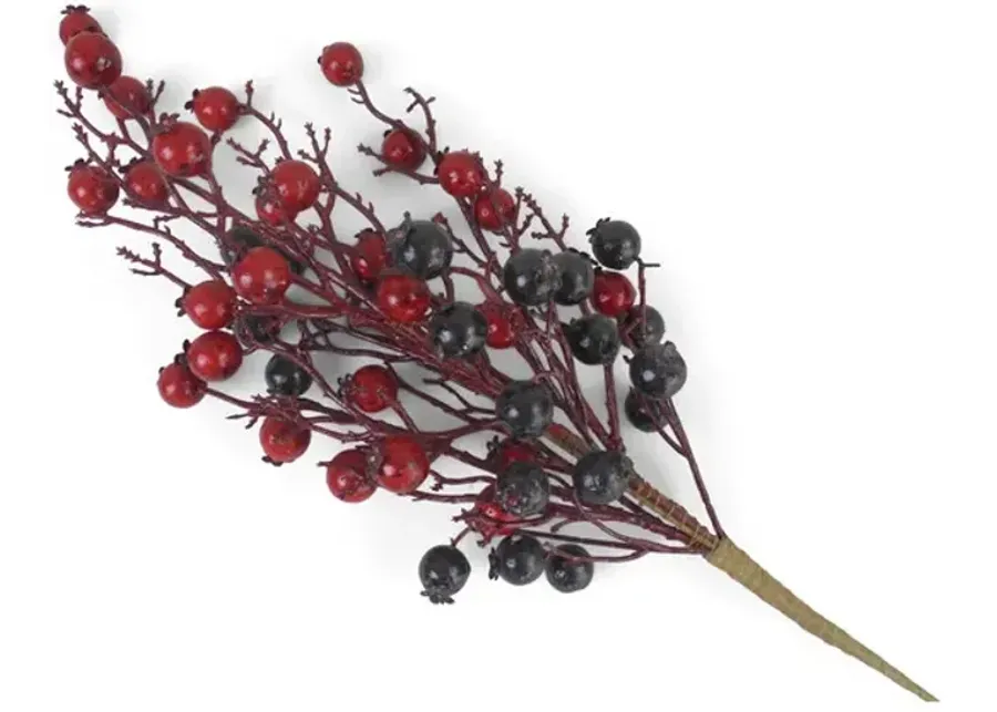 Crabapple Stem