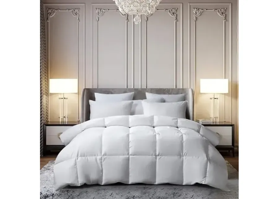 Beautyrest All Season White Down and Feather Comforter Full/Queen Size -Medium Weight Down Duvet Insert Pure Cotton Cover with Corner Tabs-90 1 67884-beautyrest-all-season-white-down-and-feather-comforter-full-queen-size-medium-weight-down-duvet-insert-pure-cotton-cover-with-corner-tabs-90-1.webp