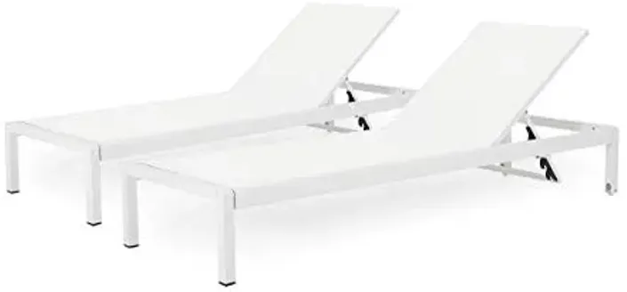 68230-christopher-knight-home-cynthia-outdoor-chaise-lounge-set-of-2-white-white-1.webp