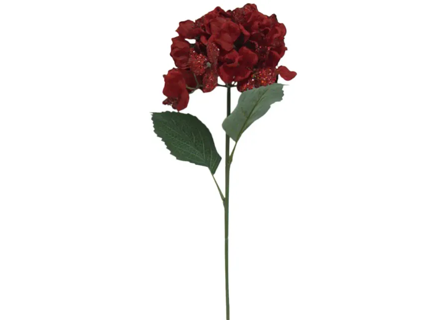 29 Hydrangea Stem 1 6923-29-hydrangea-stem-1.webp