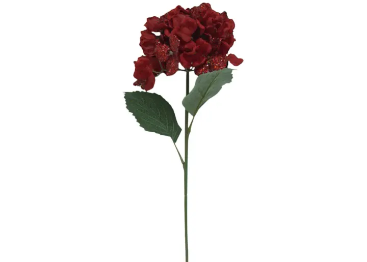 6923-29-hydrangea-stem-1.webp
