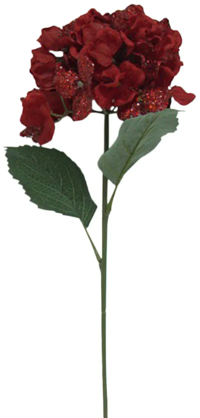 6923-29-hydrangea-stem-1.webp