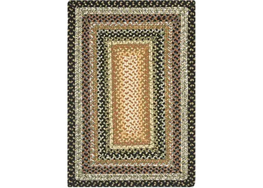 SAFAVIEH Washable Rug Braided Collection - 2'6" x 4', Multi, Weather Resistant & Easy Cleaning, Ideal for Patio, Backyard, Mudroom, Deck, Kitchen (BRD308A)-Multi Color