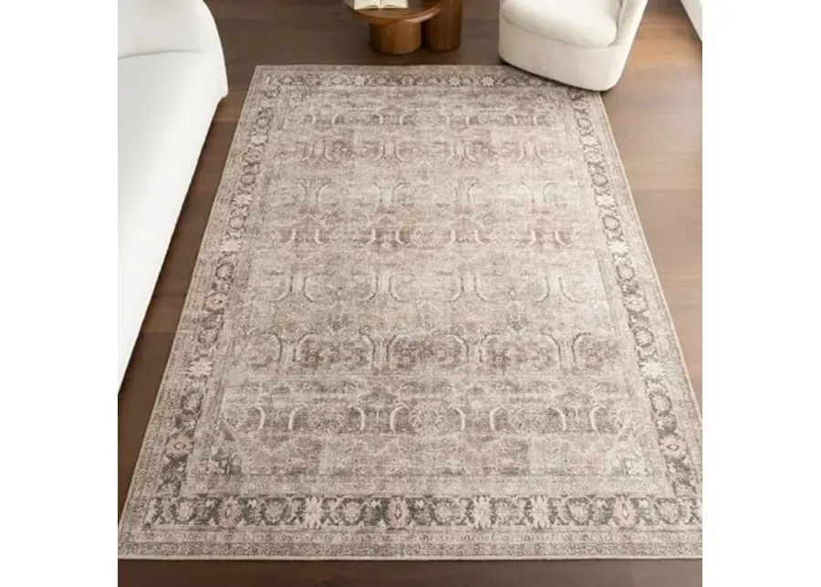 nuLOOM Hillstone Collection 9' x 12' Area Rug, Traditional Vintage Distressed Medallion, Thick and Soft, Durable Non-Shedding Low Pile Poly/Jute Blend, Easy to Clean, Living Room, Bedroom-Deidra Light Brown