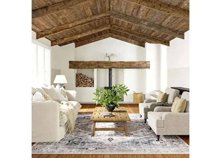 71699-rugs-usa-larkspur-persian-fringed-machine-washable-area-rug-4×6-light-brown-light-brown-1.webp