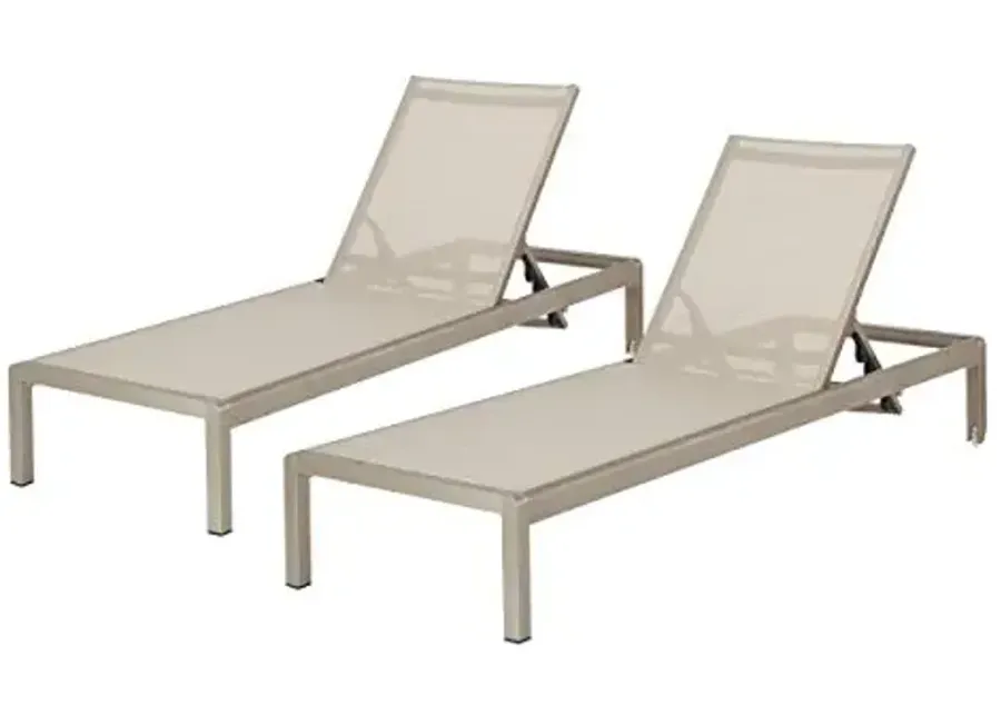 Christopher Knight Home Outdoor Aluminum Chaise Lounge, Set of 2, Grey-Grey
